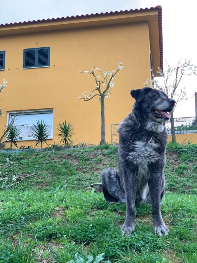 Casinha A Porta Villa Arouca Eksteriør billede