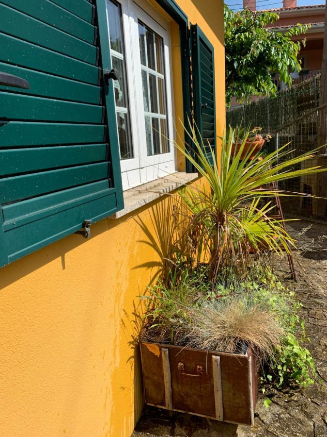 Casinha A Porta Villa Arouca Eksteriør billede