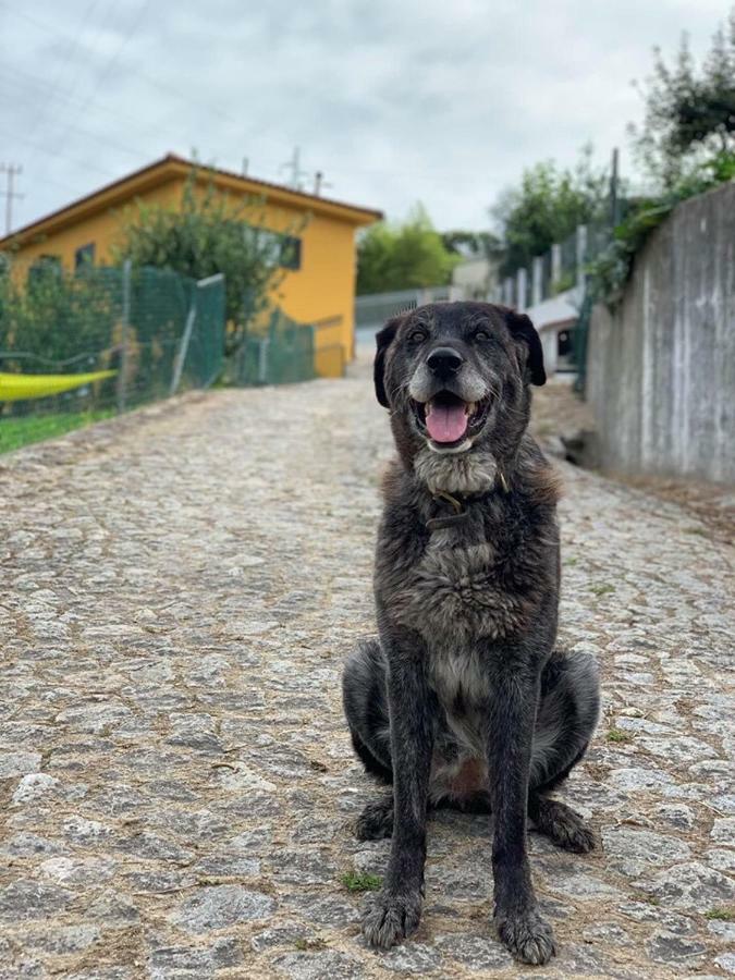 Casinha A Porta Villa Arouca Eksteriør billede